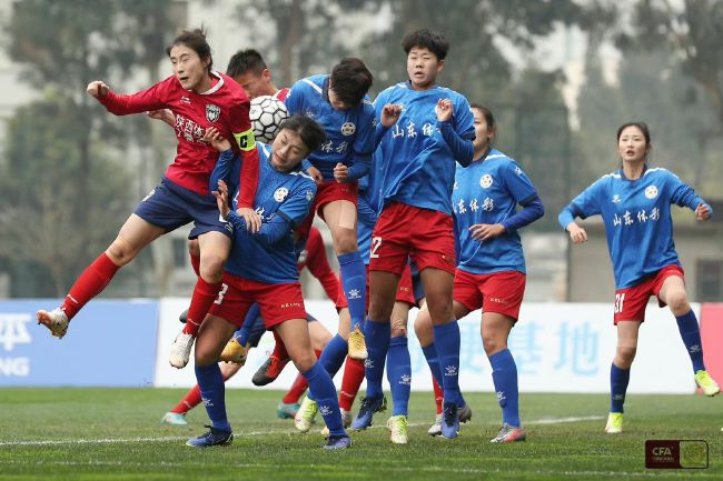 本次会议汇集了来自全球的近300名电影精英和专家，还有200多名参会嘉宾